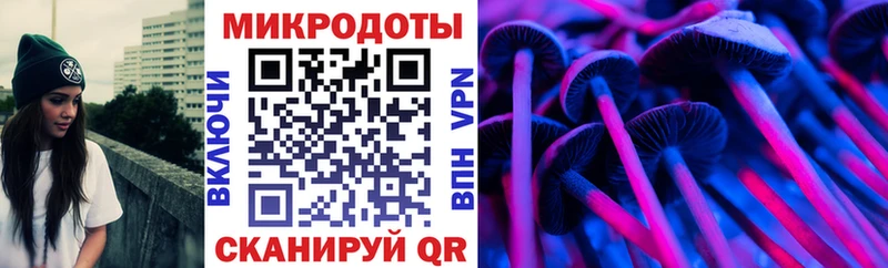 Купить где Юрюзань Псилоцибиновые грибы GOLDEN TEACHER