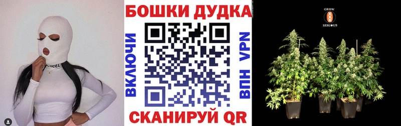Купить  Юрюзань  Каннабис сатива 